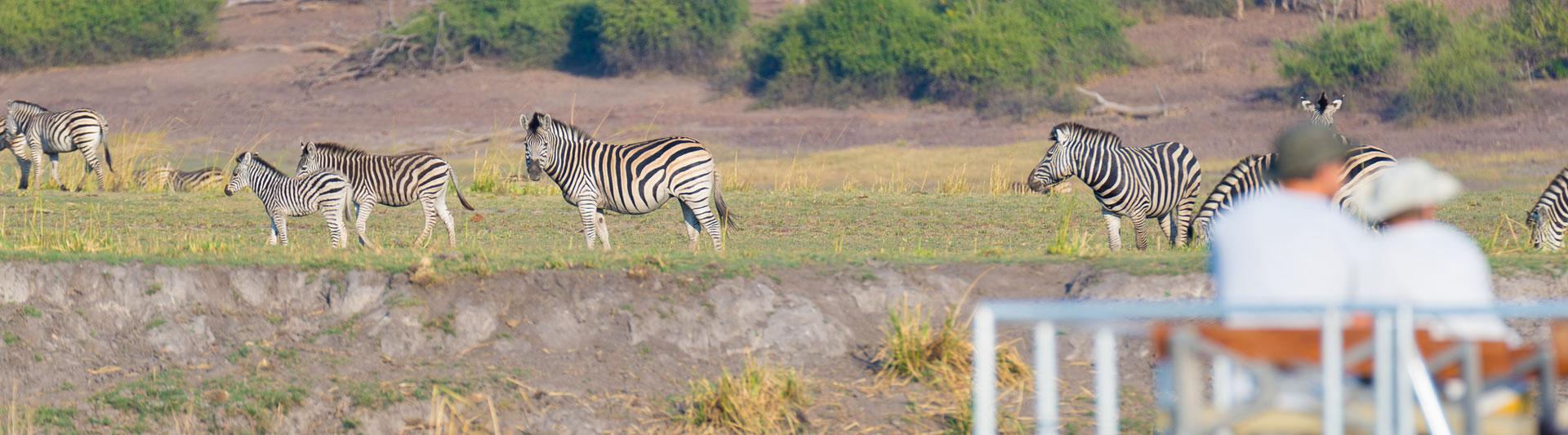 Chobe River safari destinations and region
